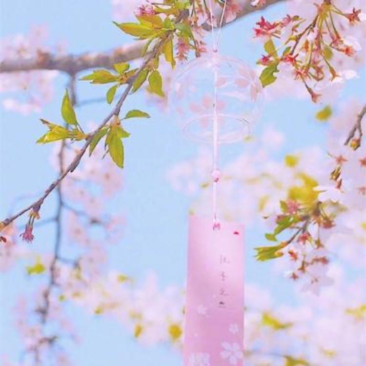 雪代缘（身份：雪代巴弟弟、上海黑帮老大、虎伏绝刀式使用者） - 少儿动画片免费在线观看 - 小程序直播